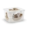 Contenitore Box Cube Puppy And Kitten -Negozio Di Prodotti Per Bambini 0015811 contenitore box cube puppy and kitten