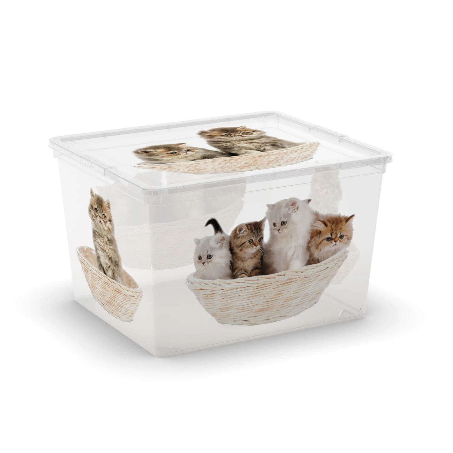 Contenitore Box Cube Puppy And Kitten 3 Contenitore Box Cube Puppy And Kitten
