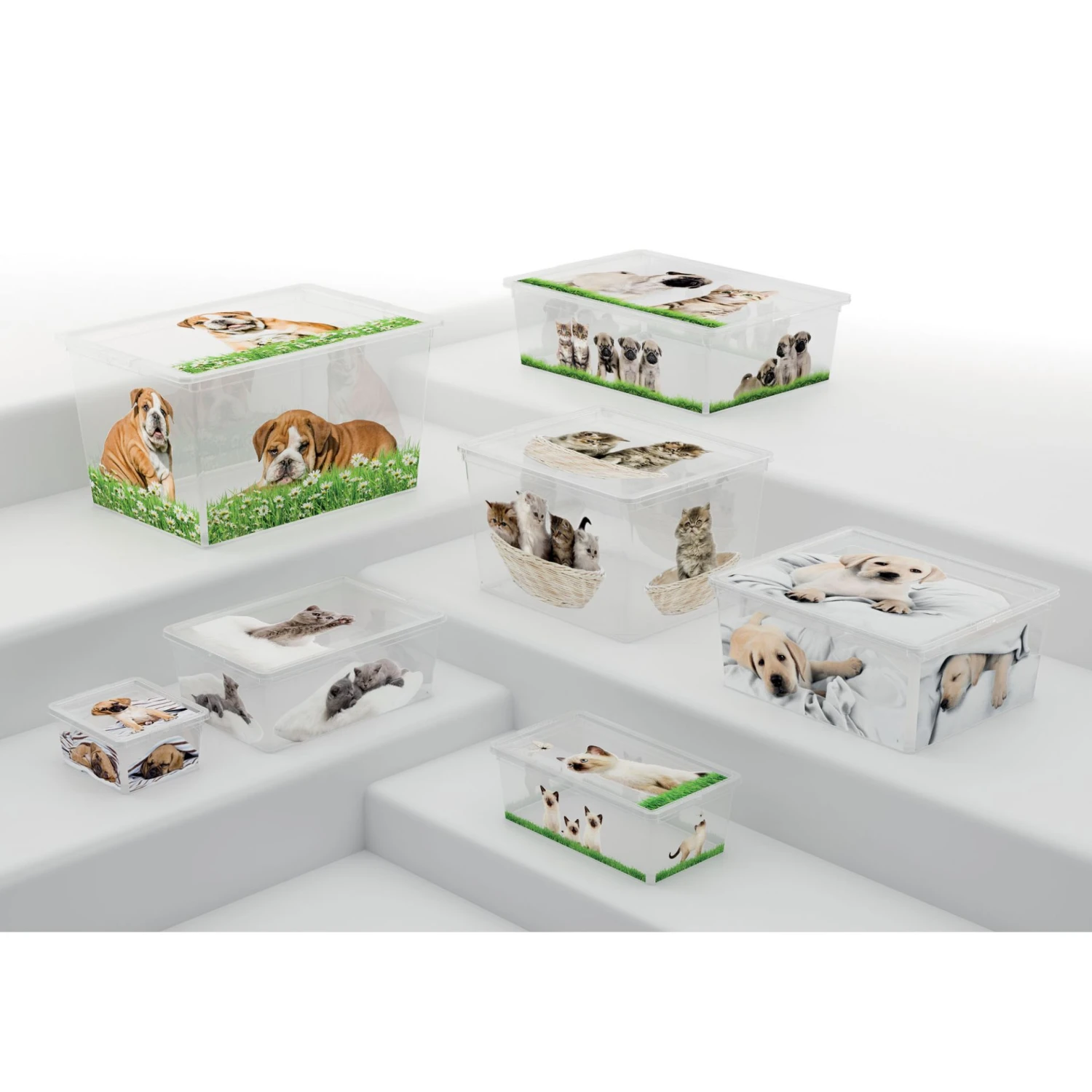 Contenitore Box Cube Puppy And Kitten 4 Contenitore Box Cube Puppy And Kitten - immagine 2