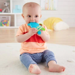 Fisher Price Animaletto Dentaruolo Assortito -Negozio Di Prodotti Per Bambini 0031170 animaletto dentaruolo assortito