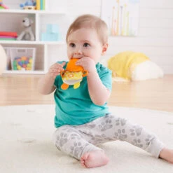 Fisher Price Animaletto Dentaruolo Assortito -Negozio Di Prodotti Per Bambini 0031171 animaletto dentaruolo assortito