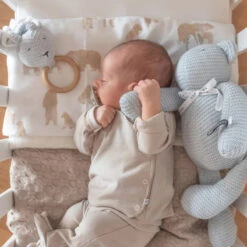 Bamboom Lenzuola Con Federa Per Culla E Carrozzina 75x100cm - Orso -Negozio Di Prodotti Per Bambini 0080881 bamboomlenzuola con federa per culla e carrozzina 75x100cm orso