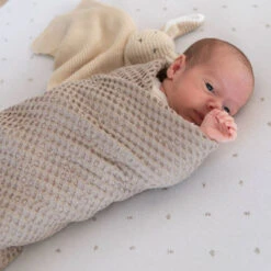 Bamboom Coperta Clinica Con Trama In Goffrato, 100x75cm -Negozio Di Prodotti Per Bambini 0102319 bamboom coperta clinica con trama in goffrato 100x75cm